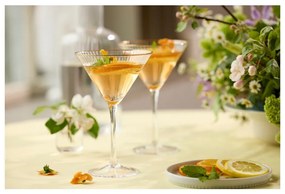 Kieliszki do koktajli zestaw 4 szt. 250 ml Palermo – Lyngby Glas