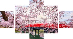Obraz - Hirosaki, Japonia (125x70 cm)