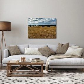 Obraz zebranego pola zboża (70x50 cm)