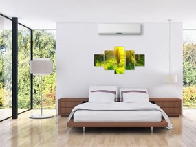 Obraz - Wiosenne przebudzenie lasu (125x70 cm)
