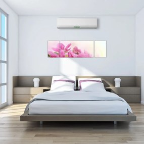 Obraz - Różowe kwiaty (170x50 cm)