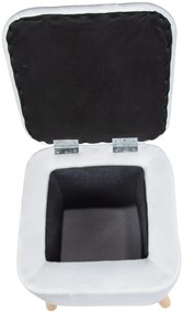 Pufa do salonu EMMA, welurowa, z miejscem do przechowywania, 42, 5 cm, WENKO