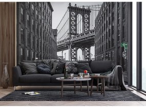 Fototapeta XXL Nowy Jork 360 x 254 cm, 4 części