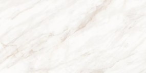 Mexen Forever Grey gres szkliwiony rekt. G1, płytka podłogowo-ścienna 120 x 60 cm, połysk - TL139-120-060-00