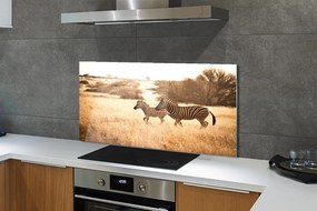 Panel szklany do Kuchni Sylwetka Zebry o Zachodzie