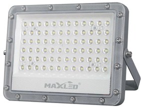 LED Reflektor zewnętrzny LED/100W/230V 5000K IP65 szary