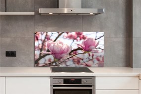 Panel nad Blat Kuchenny Magnolie w Sercu Parku