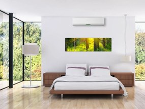 Obraz - Wiosenne przebudzenie lasu (170x50 cm)