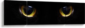 Obraz - Kocie oczy (170x50 cm)