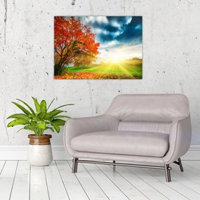 Obraz na szkle skąpanego w słońcu krajobrazu (70x50 cm)