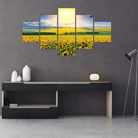 Obraz - Pole słoneczników (125x70 cm)