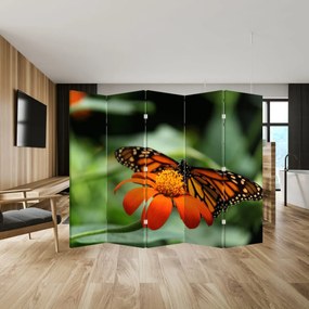 Parawan - Motyl na kwiatku (210x170 cm)
