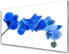 Panel Szklany Delikatność Roślinnej Formy