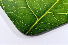 Dywanik łazienkowy Dywanik łazienkowy Liść