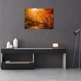 Obraz na szkle jesiennego lasu (70x50 cm)