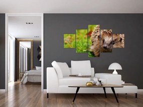 Obraz jeża (125x70 cm)