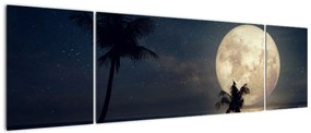Obraz - Plaża pod pełnią księżyca (170x50 cm)