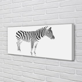 Obraz na płótnie Malowana zebra