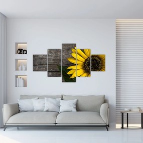 Obraz - Kwiat słonecznika (125x70 cm)