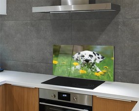 Szklany Panel Szczęśliwy Pies na Zielonej Łące