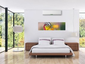 Obraz motyla na kwiatku (170x50 cm)