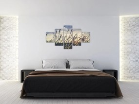 Obraz kwiatów łąkowych (125x70 cm)