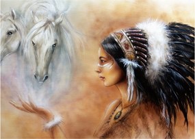 Obraz - Czary Indian (70x50 cm)