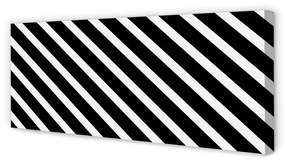 Obraz na płótnie Paski zebra