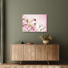 Obraz na szkle - Motyl (70x50 cm)