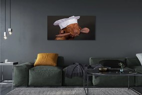 Obraz canvas na ścianę Pies w Czapce Kucharskiej