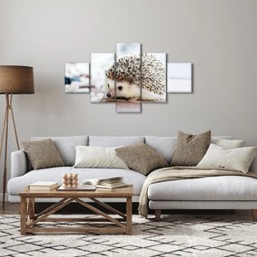 Obraz jeża (125x70 cm)