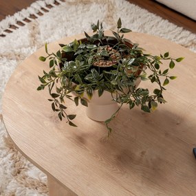 Stolik kawowy Sable Sapphire Oak