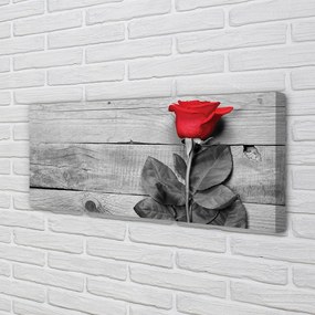 Obraz na płótnie Pojedyncza Czerwona Róża