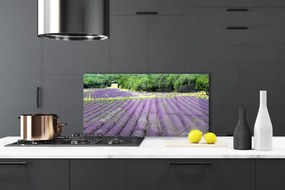 Szkło nad Blatem Kolorowa Łąka na Płótnie