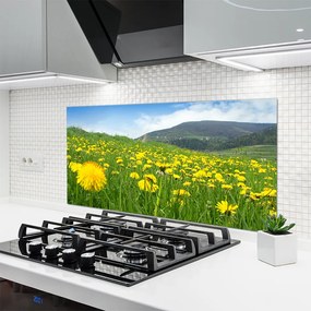 Szkło do Kuchni na Ścianę Polny Urok Mniszka