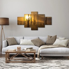 Obraz - Kaktusy Saguaro (125x70 cm)