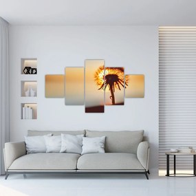 Obraz dmuchawca o zachodzie słońca (125x70 cm)