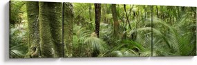 Obraz tropikalnego lasu deszczowego (170x50 cm)