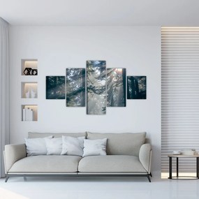 Obraz drzew, przez które prześwieca słońce (125x70 cm)