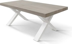 Stół drewniany wiąz perłowy, białe nogi X, 160x90-240x90cm przedłużenie - AMALFI