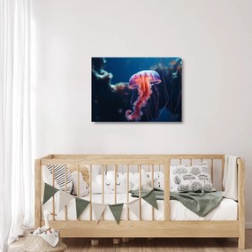 Obraz na szkle - Meduza (70x50 cm)