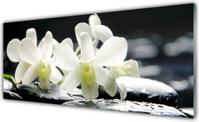 Szkło Ozdobne do Kuchni Orchidea na Rzecznych Kamieniach