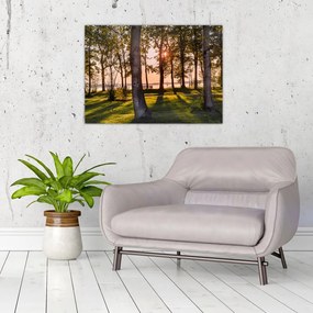 Obraz na szkle - drzewa nad jeziorem (70x50 cm)