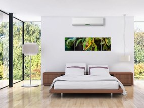 Obraz kameleona (170x50 cm)