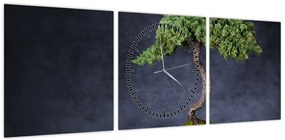 Obraz - Bonsai (z zegarem) (90x30 cm)