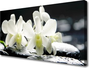 Obraz canvas Orchidea na Rzecznych Kamieniach