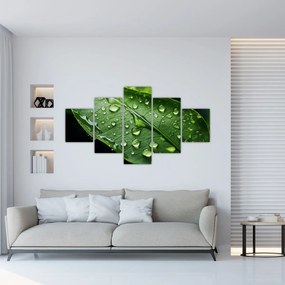 Obraz - Liść po deszczu (125x70 cm)