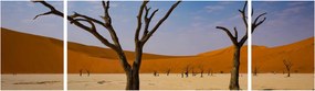 Obraz - Dolina Śmierci (170x50 cm)