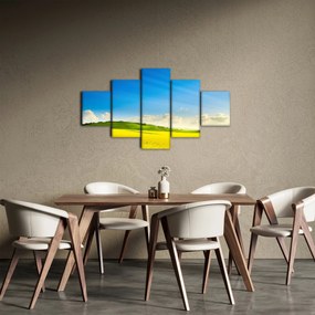Obraz - Wiosenne niebo (125x70 cm)