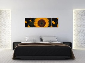 Obraz  - Słonecznik i płatki kwiatów (170x50 cm)